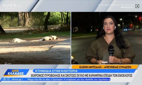 Κτηνωδία στην Κλειτορία: 50χρονος πυροβόλησε και σκότωσε σκύλο με καραμπίνα επειδή τον ενοχλούσε