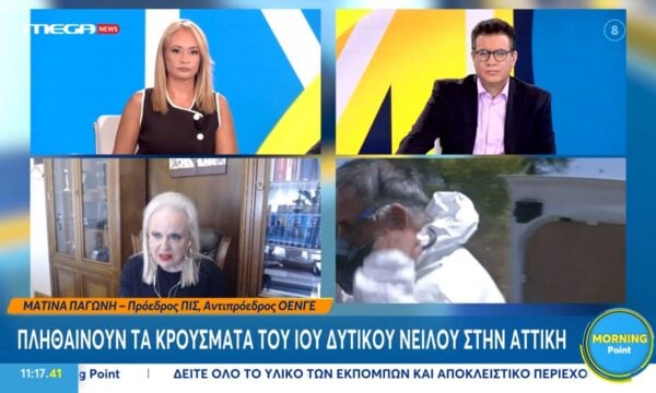 Μ. Παγώνη: Πληθαίνουν τα κρούσματα του ιού του Δυτικού Νείλου