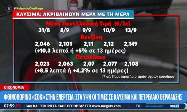 Μ. Ζάγκα: «Την επιδότηση στην αντλία την έχουν φάει οι αυξήσεις»