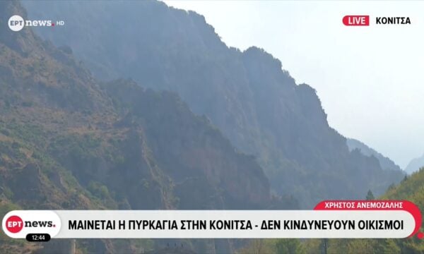 Μαίνεται η πυρκαγιά στην Κόνιτσα – Δεν κινδυνεύουν οι οικισμοί