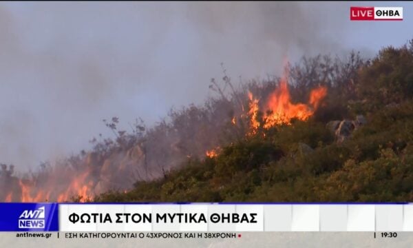 Μεγάλη φωτιά είναι σε εξέλιξη στην περιοχή Μύτικας στην Θήβα