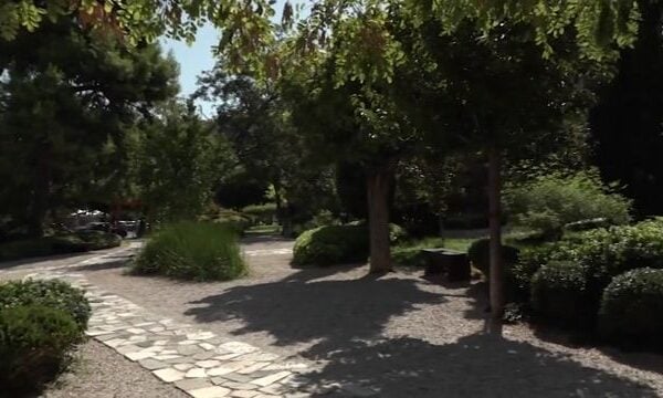 Μια μικρή Ιαπωνία στην καρδιά της Αθήνας: Ο κήπος που έγινε σημείο συνάντησης δύο πολιτισμών