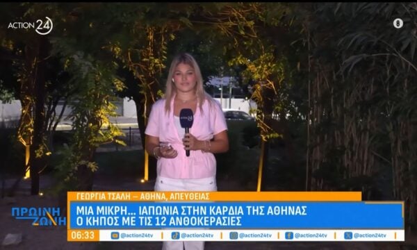 Μια μικρή… Ιαπωνία στην «καρδιά» της Αθήνας – Πού βρίσκεται ο κήπος με τις 12 ανθοκερασιές