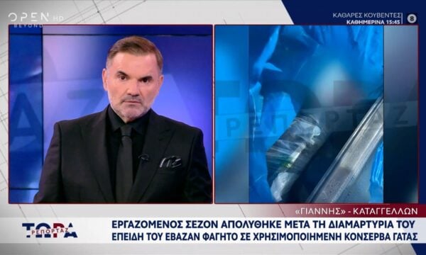 Μύκονος: Εργαζόμενος σεζόν απολύθηκε μετά την καταγγελία για το φαγητό σε κουτί γατοτροφής