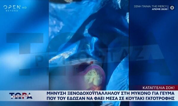 Μύκονος: Μήνυση ξενοδοχοϋπαλλήλου για γεύμα που του έδωσαν μέσα σε κουτάκι γατοτροφής
