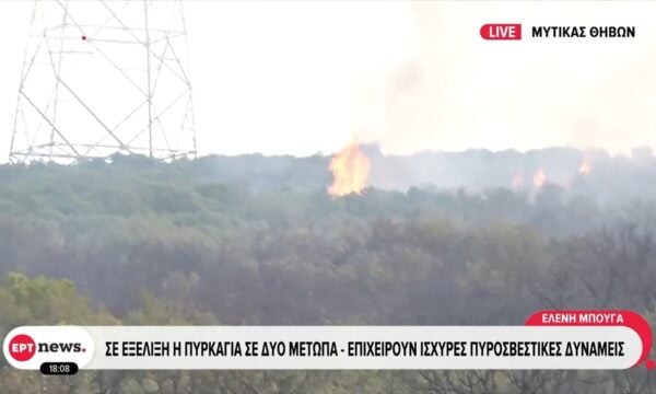 Μύτικας Θηβών: Σε εξέλιξη η πυρκαγιά σε δύο μέτωπα – Επιχειρούν ισχυρές πυροσβεστικές δυνάμεις