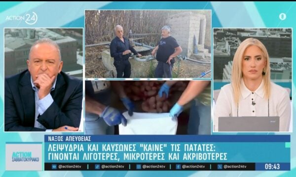 Νάξος: Λειψυδρία και καύσωνες κάνουν τις πατάτες λιγότερες, μικρότερες και ακριβότερες