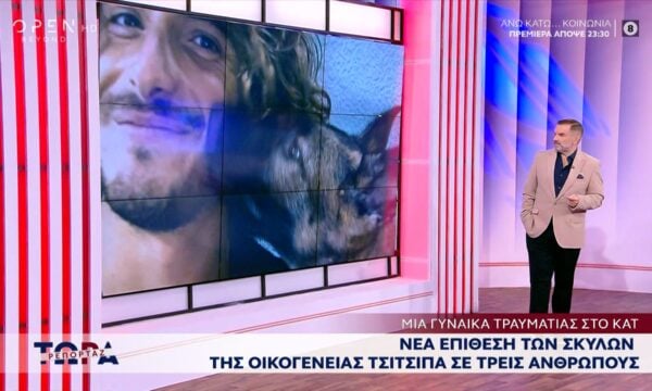 Νέα επίθεση των σκύλων της οικογένειας Τσιτσιπά σε τρεις ανθρώπους – Μια γυναίκα τραυματίας στο ΚΑΤ