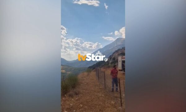 Νέα φωτιά σε περιοχή της Βοιωτίας