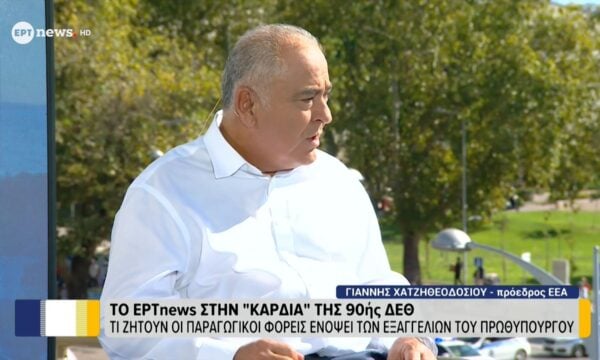 O πρόεδρος του ΕΕΑ Γιάννης Χατζηθεοδοσίου στο ΕΡΤnews