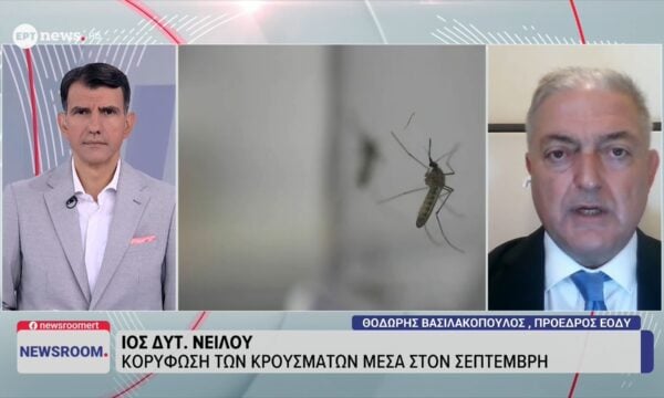 Ο πρόεδρος του ΕΟΔΥ Θοδωρής Βασιλακόπουλος στο ΕΡΤnews για τον ιό του Δυτικού Νείλου
