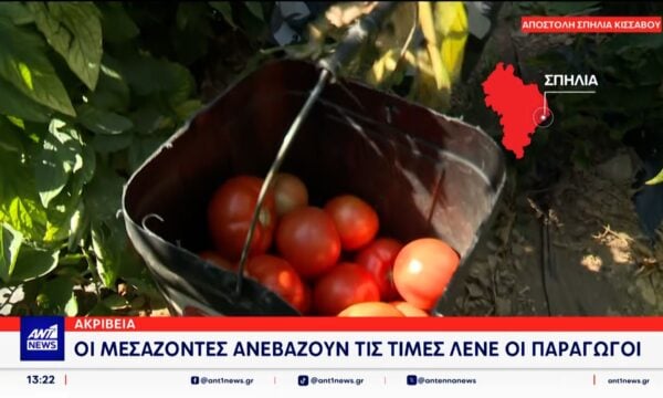 Οι μεσάζοντες αισχροκερδούν” λένε παραγωγοί ντομάτας από την Θεσσαλία