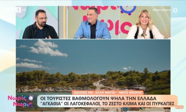 Οι τουρίστες βαθμολογούν ψηλά την Ελλάδα | ”Αγκάθια” οι λαγοκεφαλοι, το ζεστό κλίμα και οι πυρκαγιές