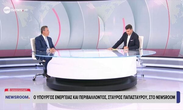 Παπασταύρου στο ΕΡΤnews: Κανείς δεν θα ζητήσει άδεια για να ασκήσει η Ελλάδα τα κυριαρχικά της δικαιώματα