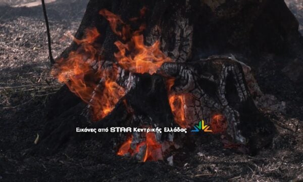 Πλάνα από τη φωτιά στις Ράχες