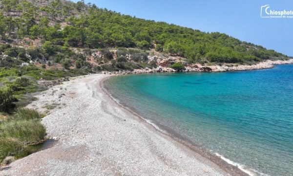 Ποταμοί – Η άγνωστη παραλία της δυτικής Χίου με τα γαλαζοπράσινα νερά και τα πεύκα μέχρι της θάλασσα