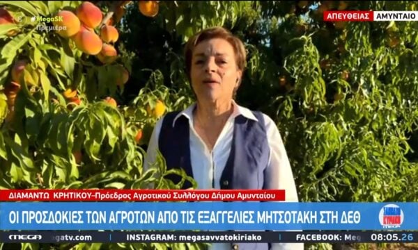 Πρ. Αγροτικού Συλλόγου Δήμου Αμυνταίου: «Θέλουμε να τηρηθούν αυτά που υπόσχονται – Πρέπει να δώσει προνόμια και εφόδια στους συνεταιρισμούς»