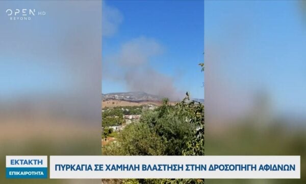 Πυρκαγιά σε χαμηλή βλάστηση στην Δροσοπηγή Αφιδνών