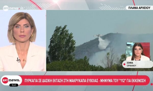 Πυρκαγιά σε δασική έκταση στην περιοχή Μακρυκάπα Εύβοιας – Ήχησε το 112