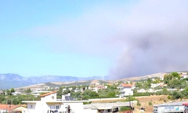 Πυρκαγιά σε δασική έκταση στην περιοχή Μακρυκάπα Εύβοιας