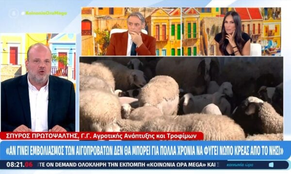 Σ. Πρωτοψάλτης: «Ο μέσος όρος αποζημίωσης που δίνουμε είναι 150 ευρώ ανά θανατωμένο ζώο»