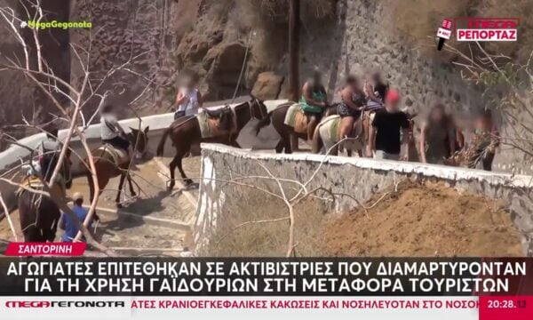 Σαντορίνη: Αγωγιάτες επιτέθηκαν σε ακτιβίστριες – Διαμαρτύρονταν για την χρήση των γαϊδουριών στη μεταφορά τουριστών
