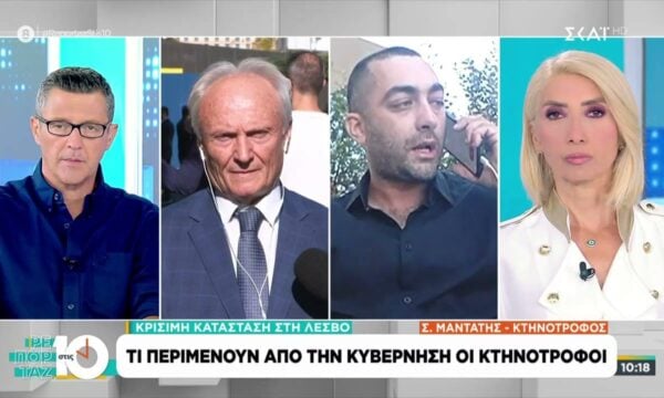 Σε απόγνωση οι κτηνοτρόφοι της Λέσβου για τον αφθώδη πυρετό και τις αποζημιώσεις – Τι απαντούν από το Υπουργείο