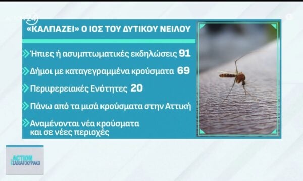 Σε έξαρση ο ιός του Δυτικού Νείλου με τα κουνούπια να αποκτούν…ανοσία στα εντομοκτόνα