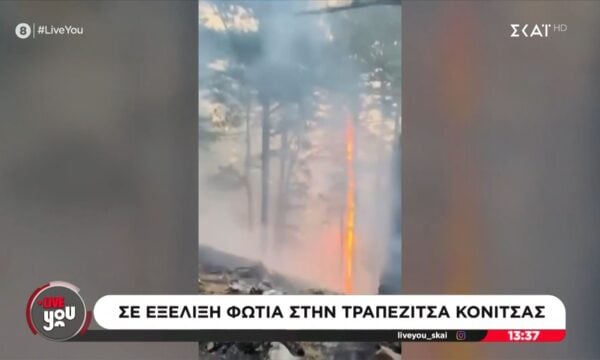 Σε εξέλιξη φωτιά στην Τραπεζίτσα Κόνιτσας
