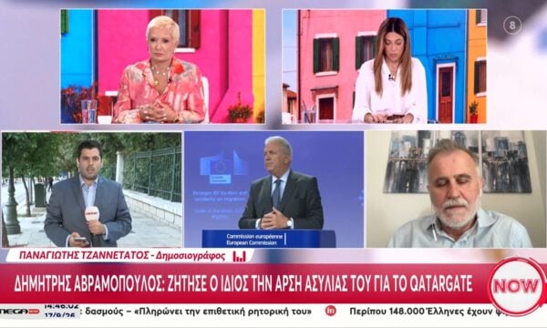 Σήμερα η απόφαση της Βουλής για την ασυλία του Δημήτρη Αβραμόπουλου και Κωνσταντοπούλου