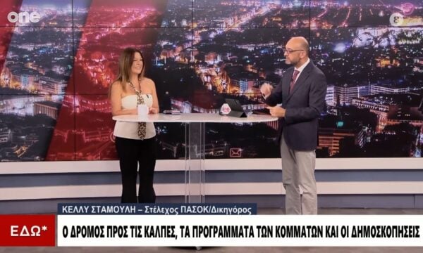 Σταμούλη (ΠΑΣΟΚ): Ο Ανδρουλάκης είναι για το ζαχαρούχο γάλα – Είναι πολύ γλυκός