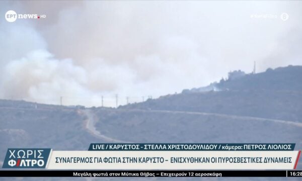 Συναγερμός για φωτιά στην Κάρυστο – Ενισχύθηκαν οι πυροσβεστικές δυνάμεις