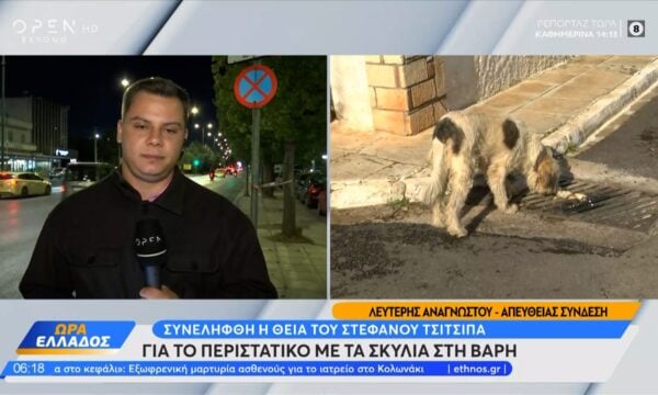 Συνελήφθη η θεία του Στέφανου Τσιτσιπά για το περιστατικό με τα σκυλιά
