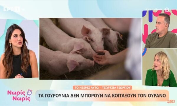 Τα γουρούνια δεν μπορούν να κοιτάξουν τον ουρανό