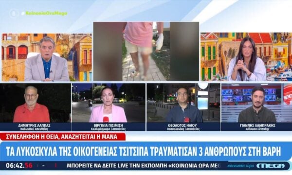 Τα λυκόσκυλα της οικογένειας Τσιτσιπά τραυμάτισαν 3 ανθρώπους στη Βάρη