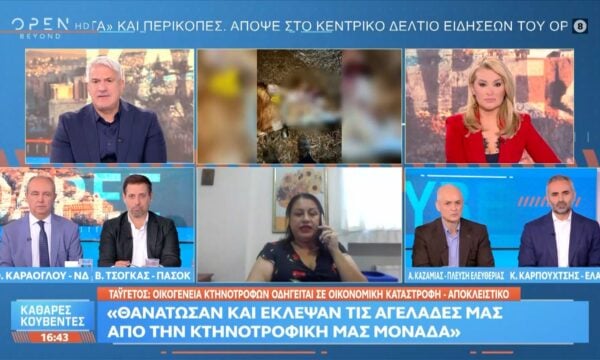 Ταΰγετος: «Θανάτωσαν και έκλεψαν τις αγελάδες μας από την κτηνοτροφική μας μονάδα»