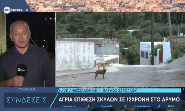 Θεσσαλονίκη: Άγρια επίθεση σκύλων σε 12χρονη στο Δρυμό