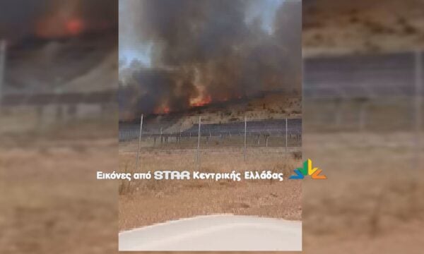 Θήβα: Φωτιά στην περιοχή Μύτικα. Φόβοι για το δάσος Μοσχοποδίου.
