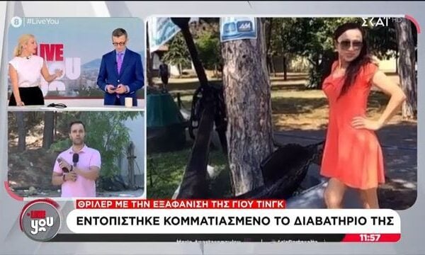 Τι δείχνει το διαβατήριο της Γιου Τινγκ τέσσερις μήνες μετά την εξαφάνιση
