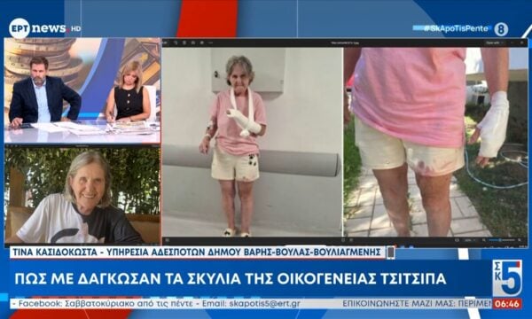 Τίνα Κασιδοκώστα: Πώς με δάγκωσαν τα σκυλιά της οικογένειας Τσιτσιπά