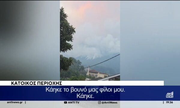 Τραπεζίτσα Κόνιτσας:  Μάχη με τις φλόγες για έβδομη μέρα