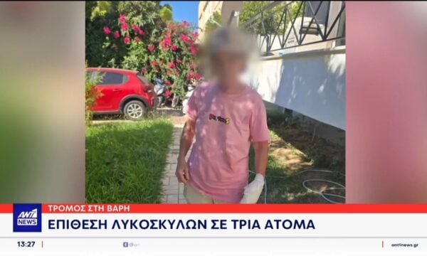 Τρόμος στη Βάρη – Επίθεση σκύλων σε τρία άτομα