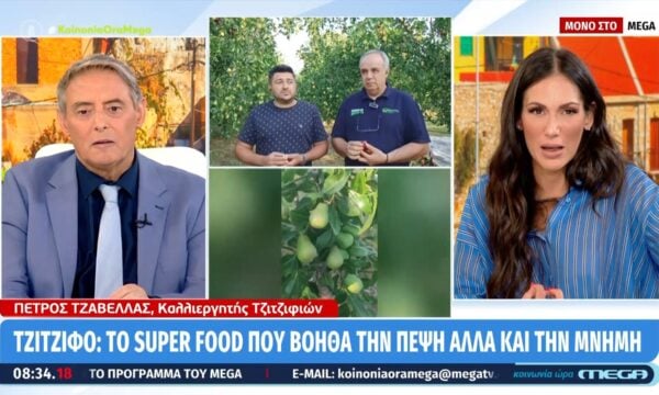 Τζίτζιφο: Το super food που βοηθά την πέψη και τη μνήμη