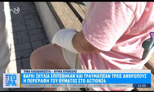 Βάρη: Σκυλιά επιτέθηκαν σε τρεις ανθρώπους – Η περιγραφή του θύματος στο Action24