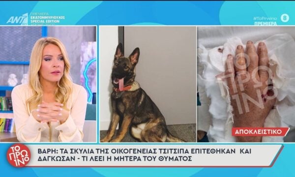 Βάρη: Τα σκυλιά της οικογένειας Τσιτσιπά επιτέθηκαν και δάγκωσαν γυναίκα – Το Πρωινό – 21/09/2026