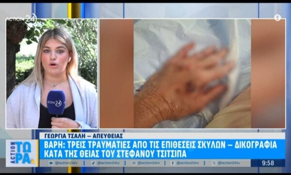 Βάρη: Τρείς τραυματίες από επιθέσεις σκύλων – Δικογραφία κατά της θείας του Στέφανου Τσιτσιπά