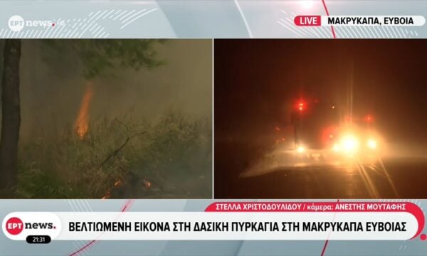 Βελτιωμένη η κατάσταση στη δασική πυρκαγιά στη Μακρυκάπα Ευβοίας