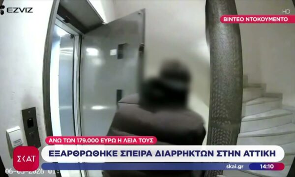Video ντοκουμέντο: Εξαρθρώθηκε σπείρα διαρρηκτών στην Αττική – Άνω των 179.000 ευρώ η λεία τους