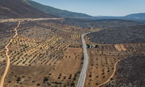 Βοιωτία: Στάχτη 31.000 στρέμματα δασικής έκτασης. Ξεκινούν αντιπλημμυρικά και αντιδιαβρωτικά έργα.