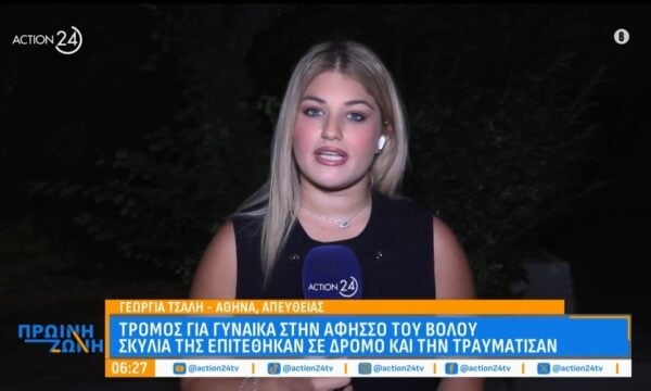 Βόλος: Τρόμος για γυναίκα στην Άφησσο – Σκυλιά της επιτέθηκαν στον δρόμο και την τραυμάτισαν